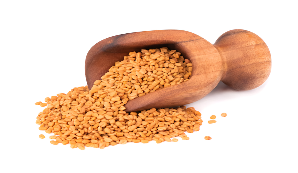 Fenugreek seeds